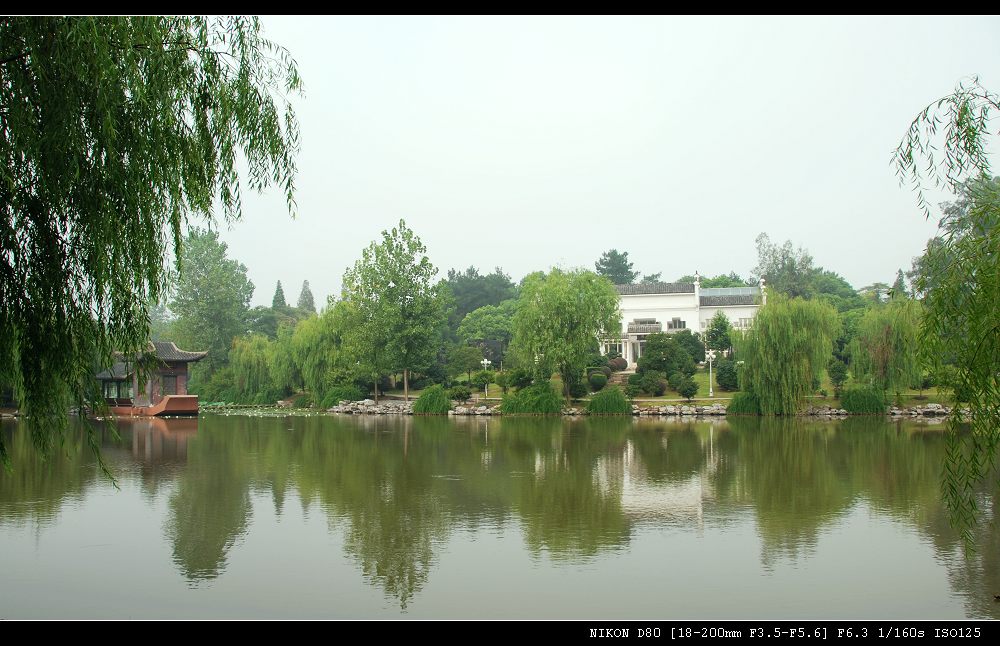 这边风景独好 摄影 温馨