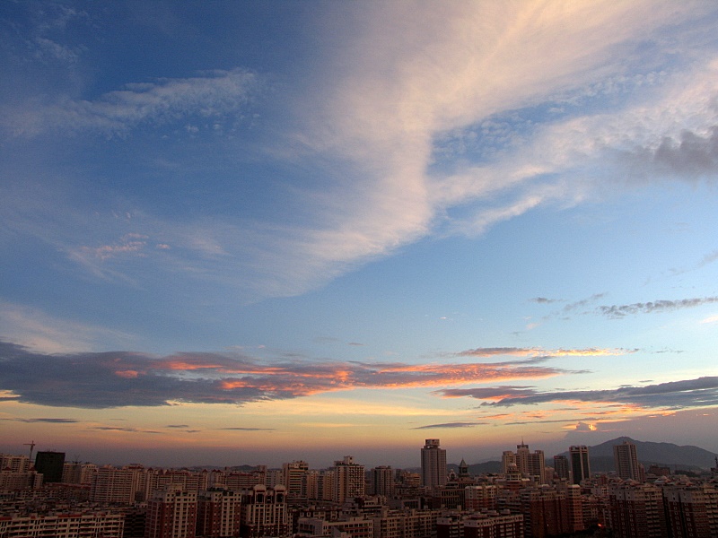 疑是白鹭上青天 摄影 蓝色驴