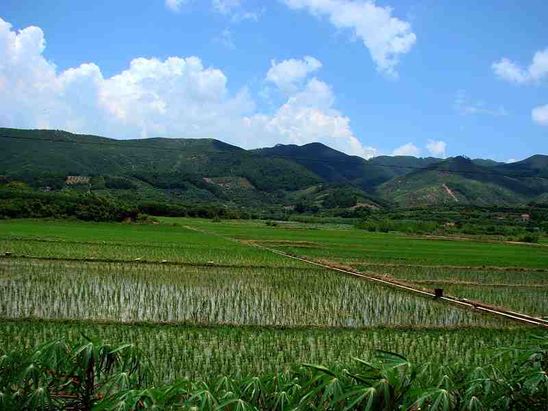 田野风光 摄影 笑对人生-2