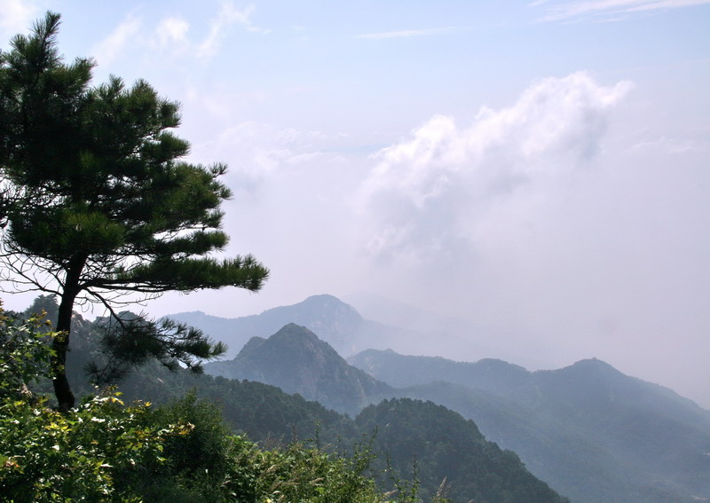 《泰山拾景》系列2---群峰竞秀 摄影 宁夏.暴新义