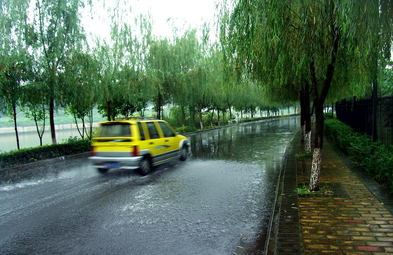 在雨中 摄影 飘雪儿