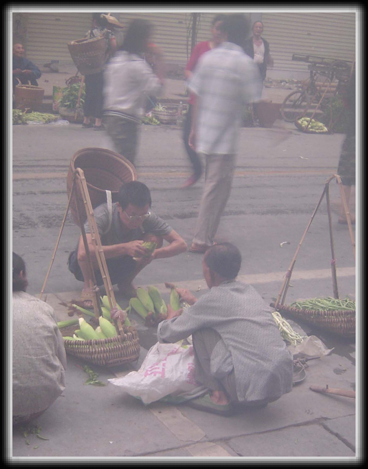 赶早市 摄影 自由鸟007