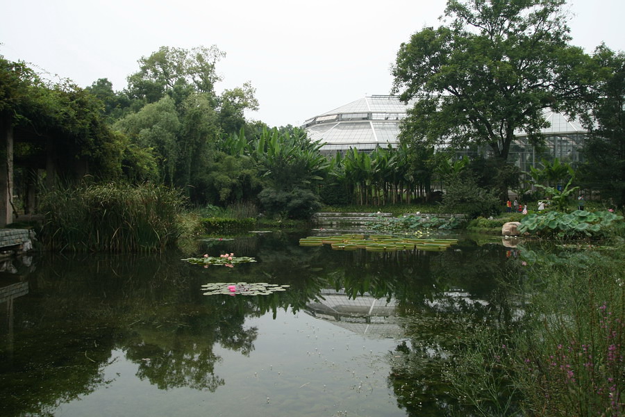 植物园风景 摄影 楚园秋韵