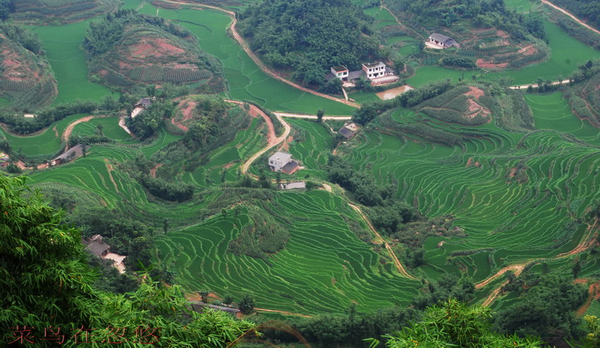 乡村小景 摄影 菜鸟在忽悠