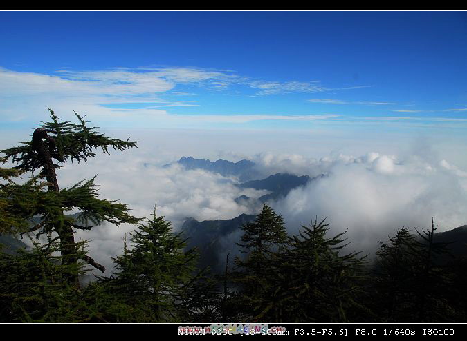 太白山一景 摄影 细雨绵绵