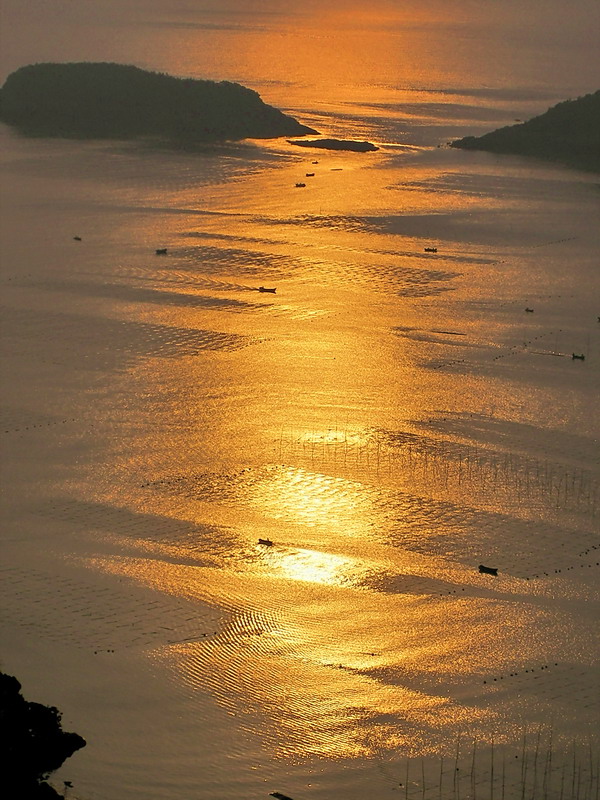 金色海滩---1 摄影 风帆