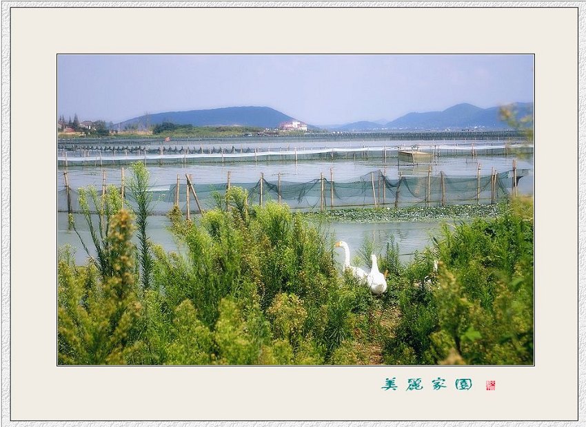 美丽家园 摄影 文竹细雨