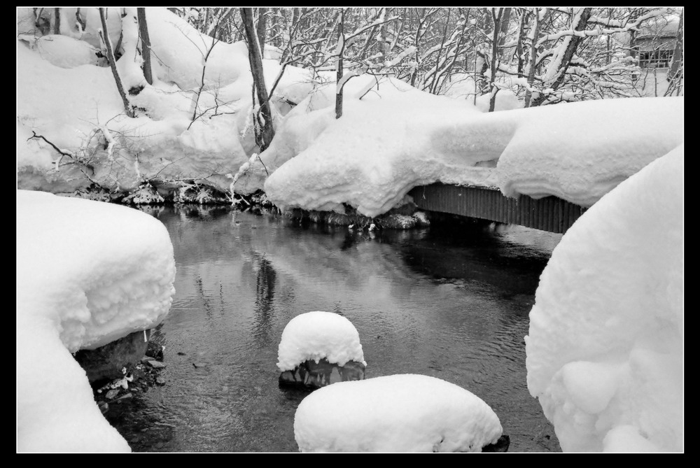 我拍～雪景 2 摄影 XIHUANXUE