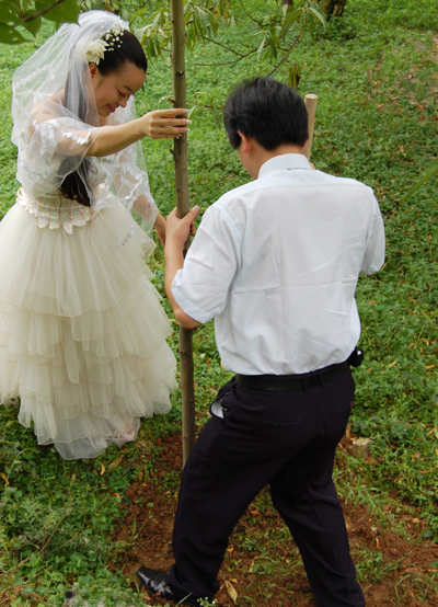 婚礼舞曲 摄影 苗箐