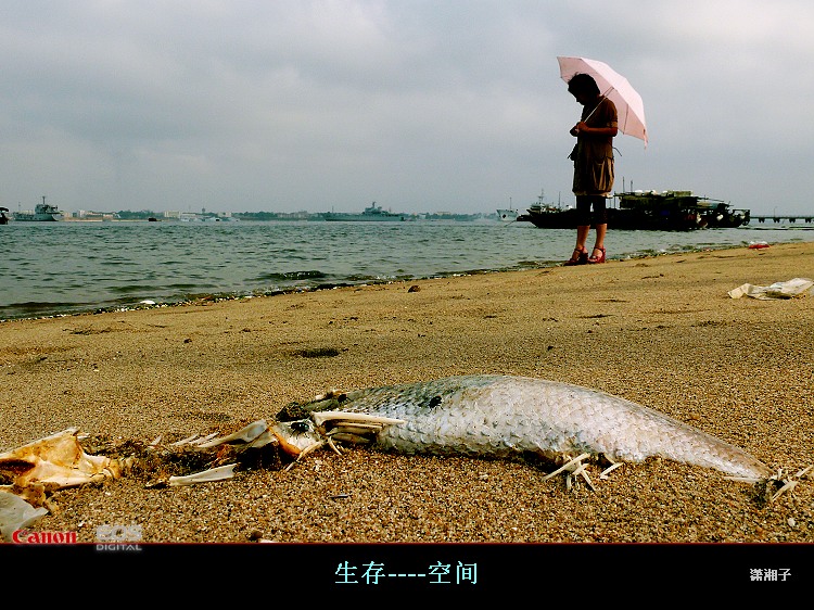 生存---空间 摄影 潇湘子