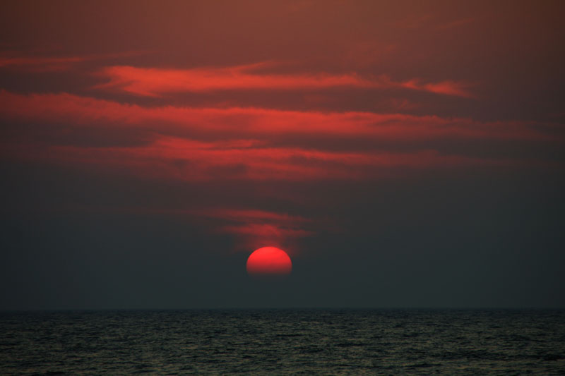 海上日落 摄影 非洲长颈鹿