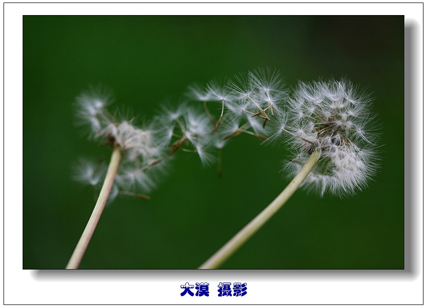 飘（1） 摄影 沙漠风暴