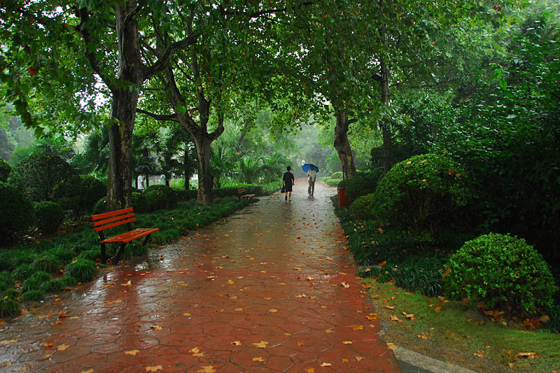 一场秋雨 摄影 秋冬