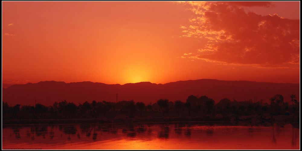 夕阳红 摄影 月儿湾湾