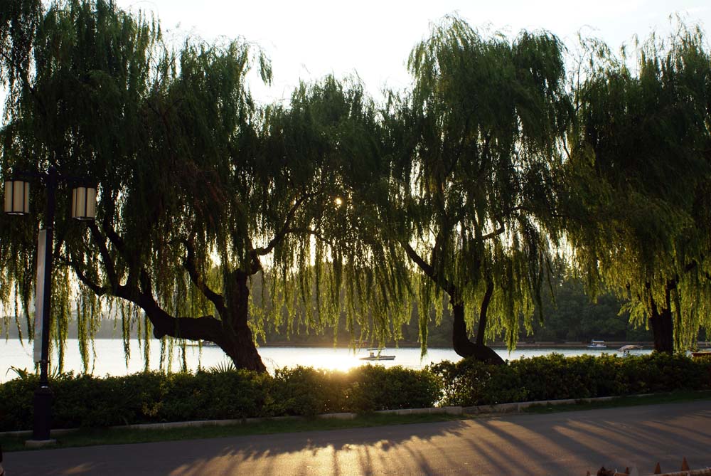 夕阳湖面 摄影 hongzhu