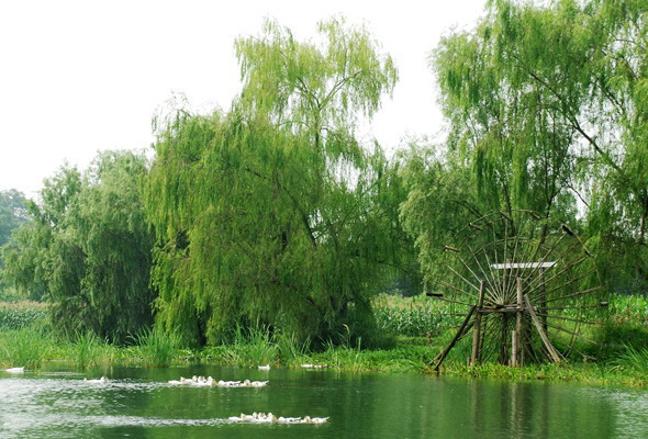 河边小景. 摄影 一朽木