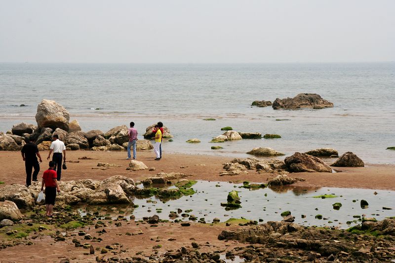 赶海 摄影 衣袂飘飘