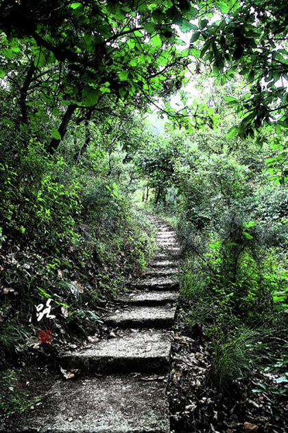 路－秦岭 摄影 游居