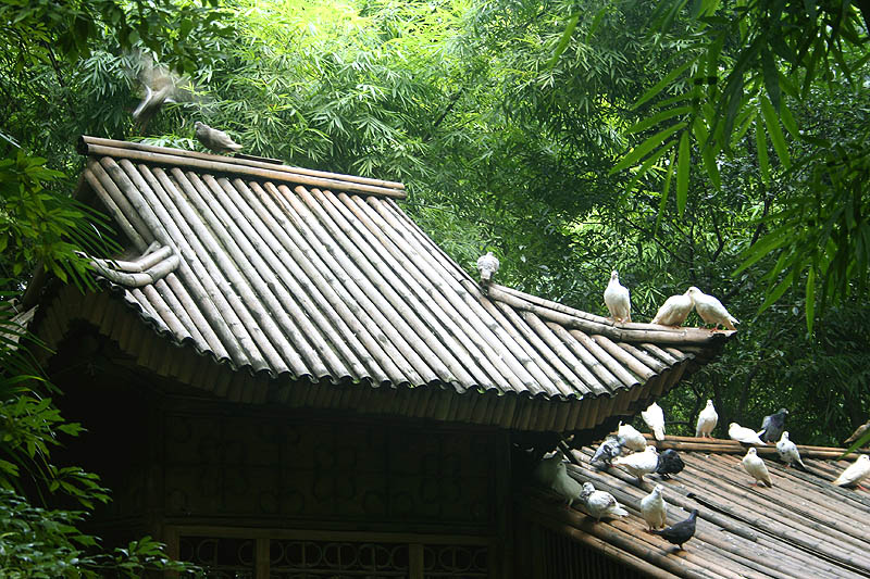 都江堰小景 摄影 九点差一刻