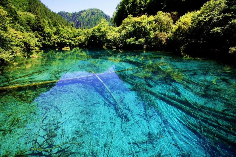 九寨沟之夏－3（五花海） 摄影 秦川牛