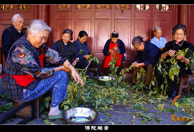 佛院触景7 摄影 蜀国像素