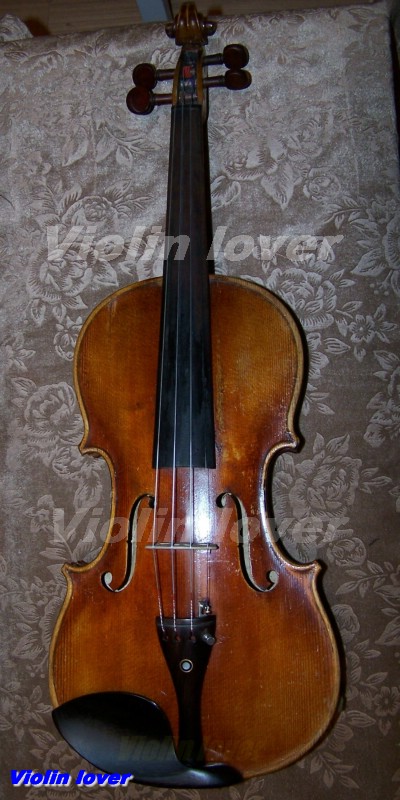Violin lover 摄影 小提琴情人