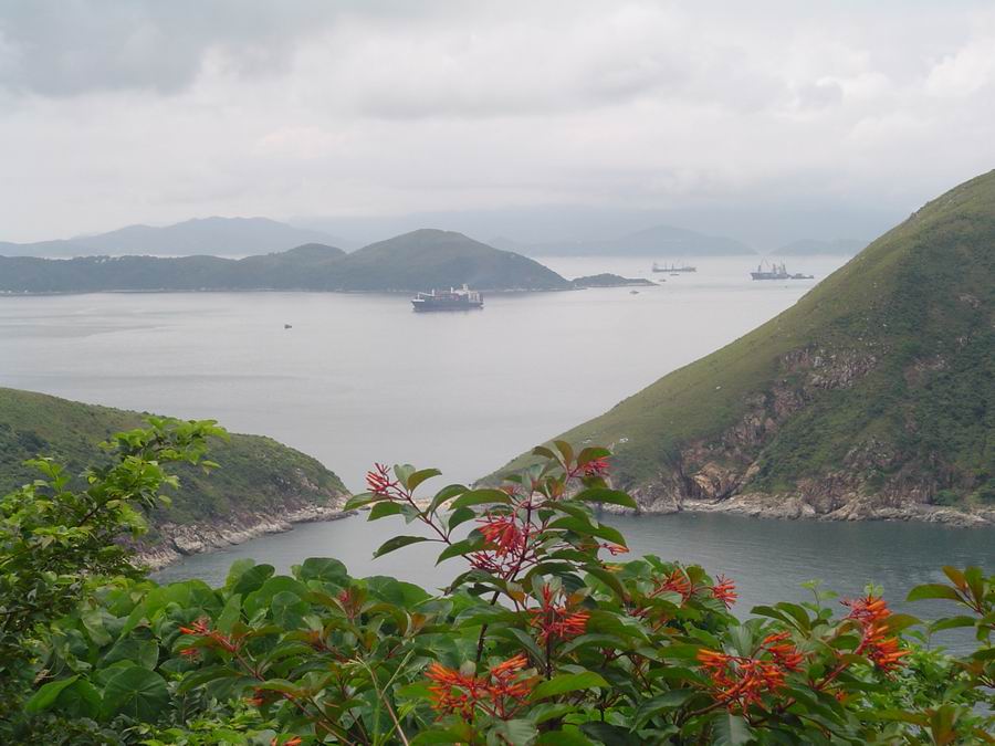 山花环岛 摄影 荒郊野外