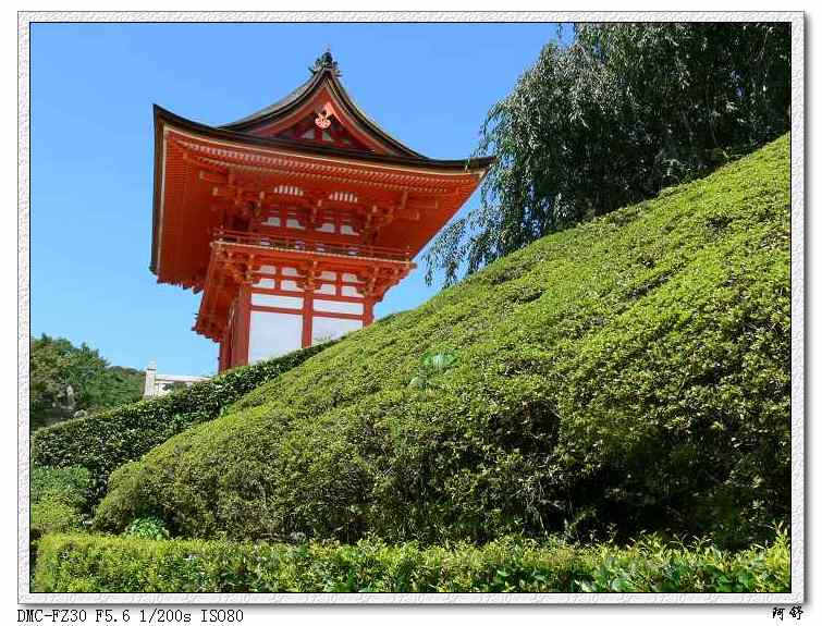 日本清水寺 摄影 阿舒