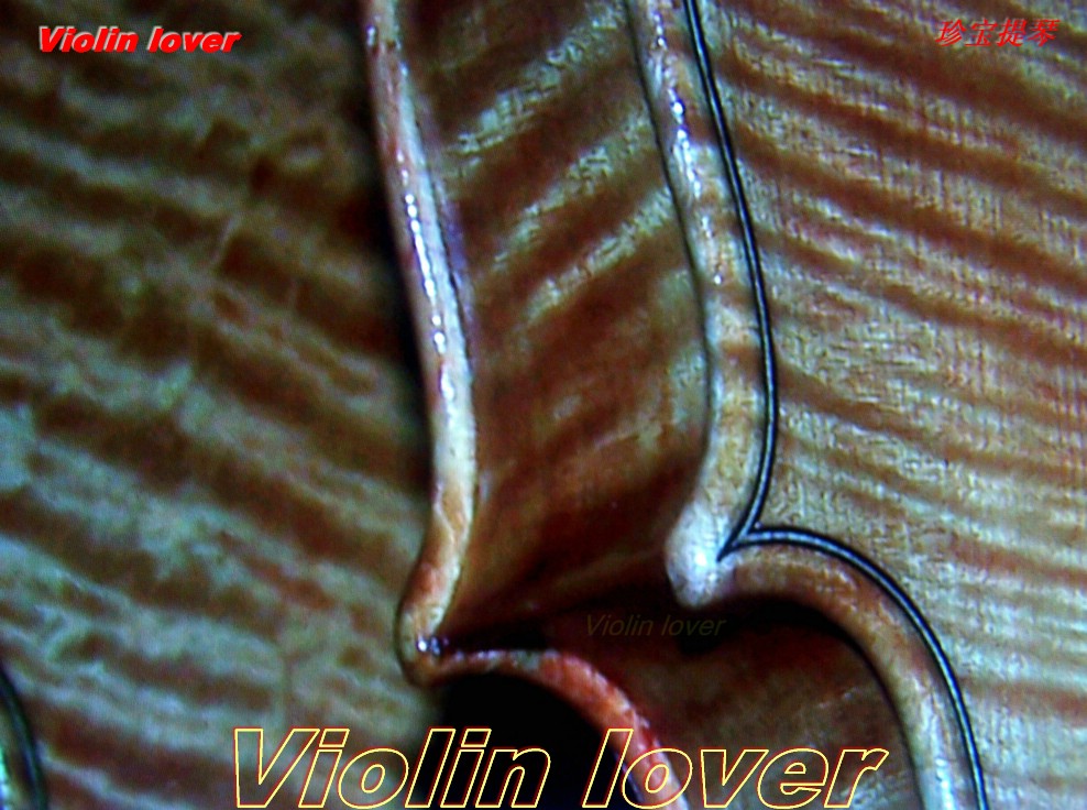 Violin lover 摄影 小提琴情人