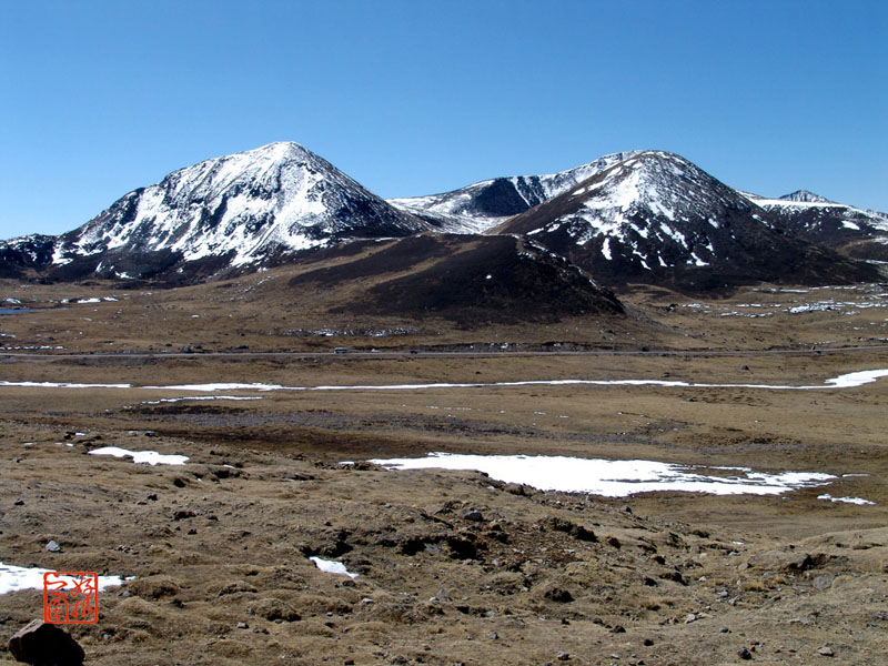 米拉山 摄影 大地情思