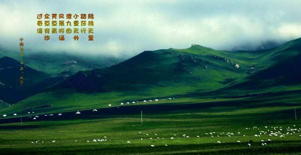 踏莎行 摄影 金秋雨