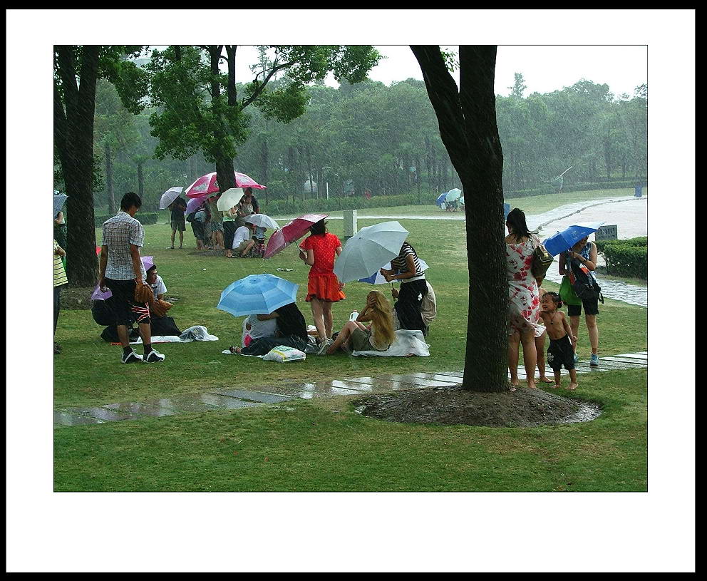 猴眼看世界（4）：雨中即景......... 摄影 海上老猴