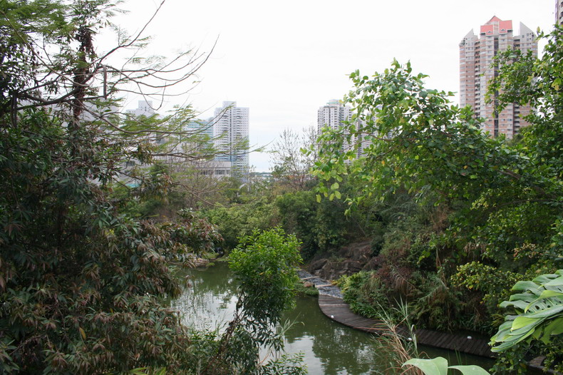 深圳华侨城－－全国宜居示范区 摄影 buicksz