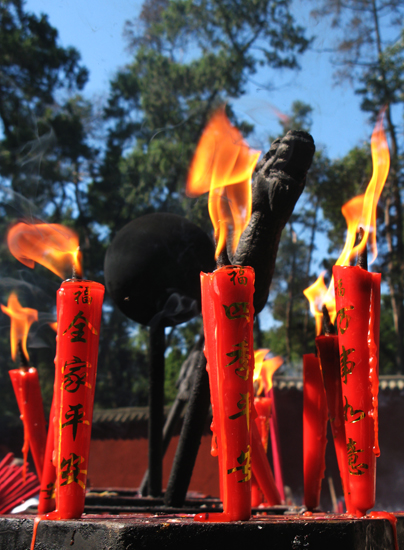 美好祝愿随风飘远 摄影 快乐瞬间