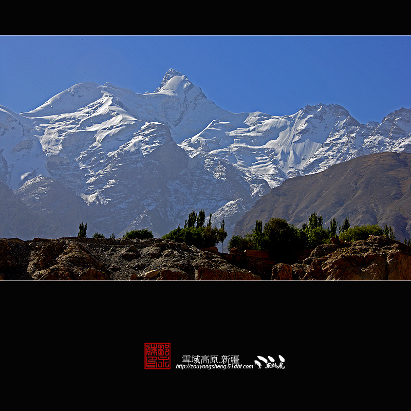 雪域高原 摄影 东北虎