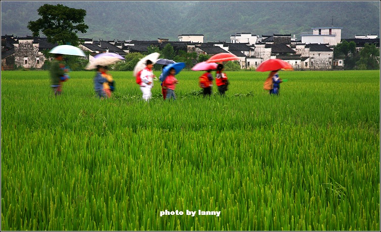 希望的田野 摄影 甜宁