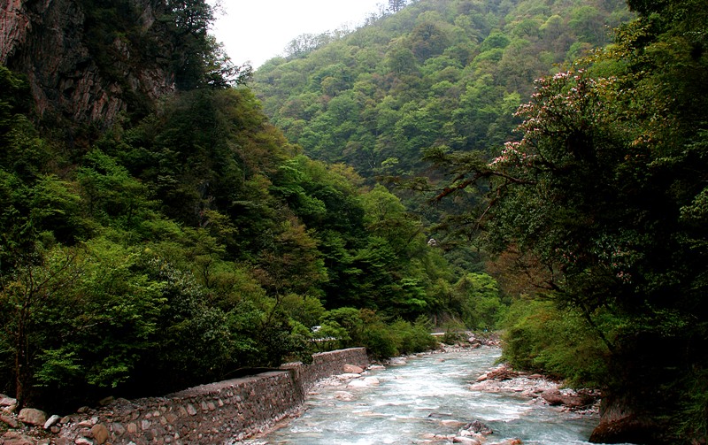 青衣江源——东拉山 摄影 随便拍