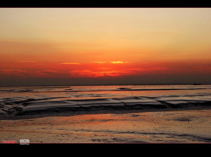 海涂夕色 摄影 注意力