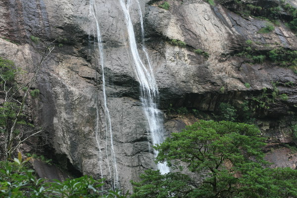 俞坑自然保护区之纱瀑 摄影 chau