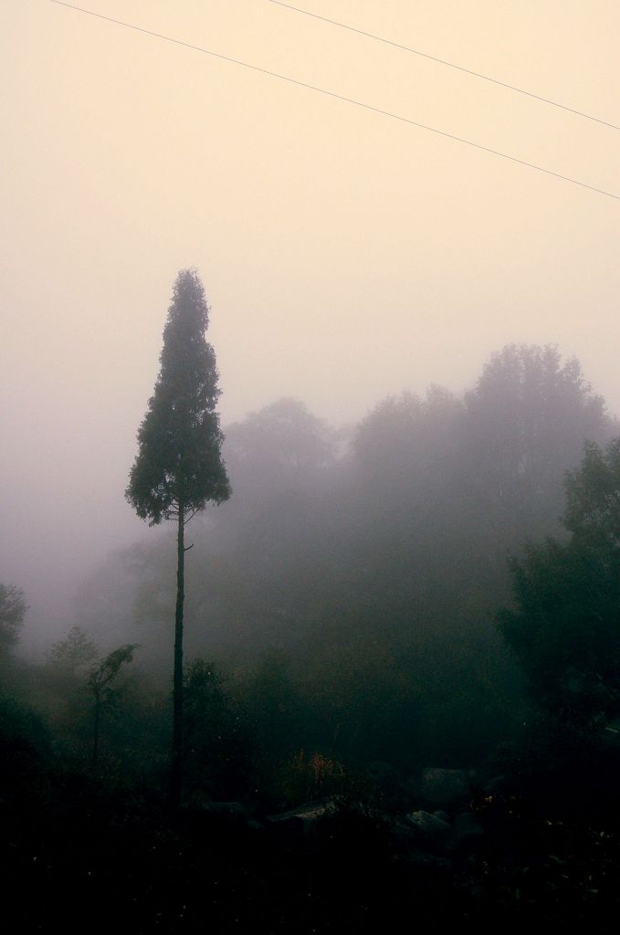 风景 摄影 紫宝宝睡觉觉