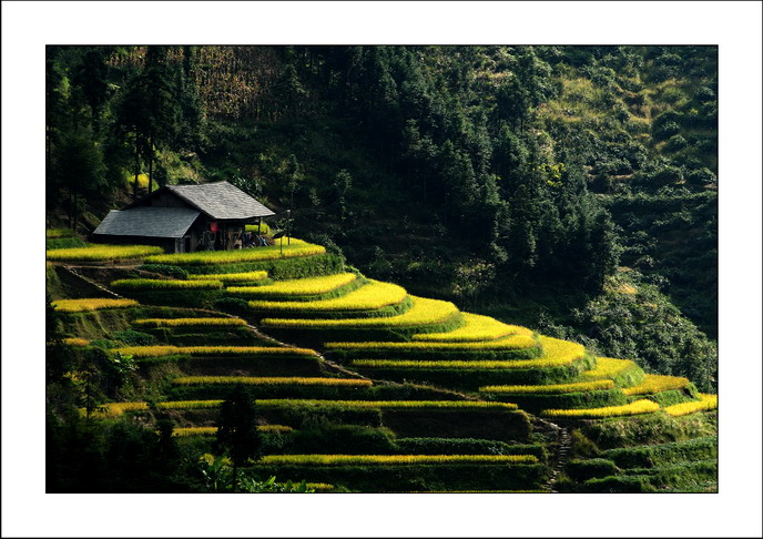 简单风景 摄影 ljzxyz