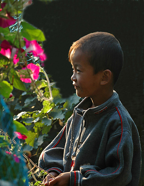 花儿与少年 摄影 古堤