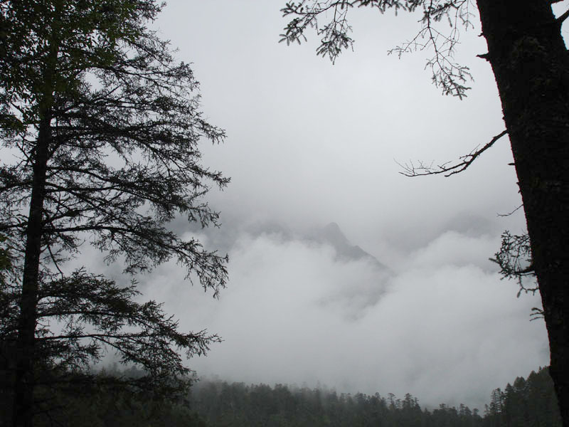 雾里山 摄影 淡兰色