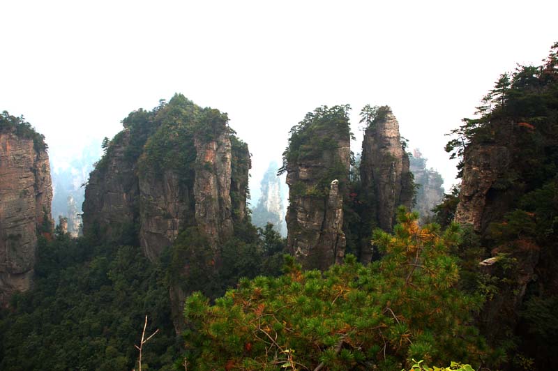 张家界 摄影 东春