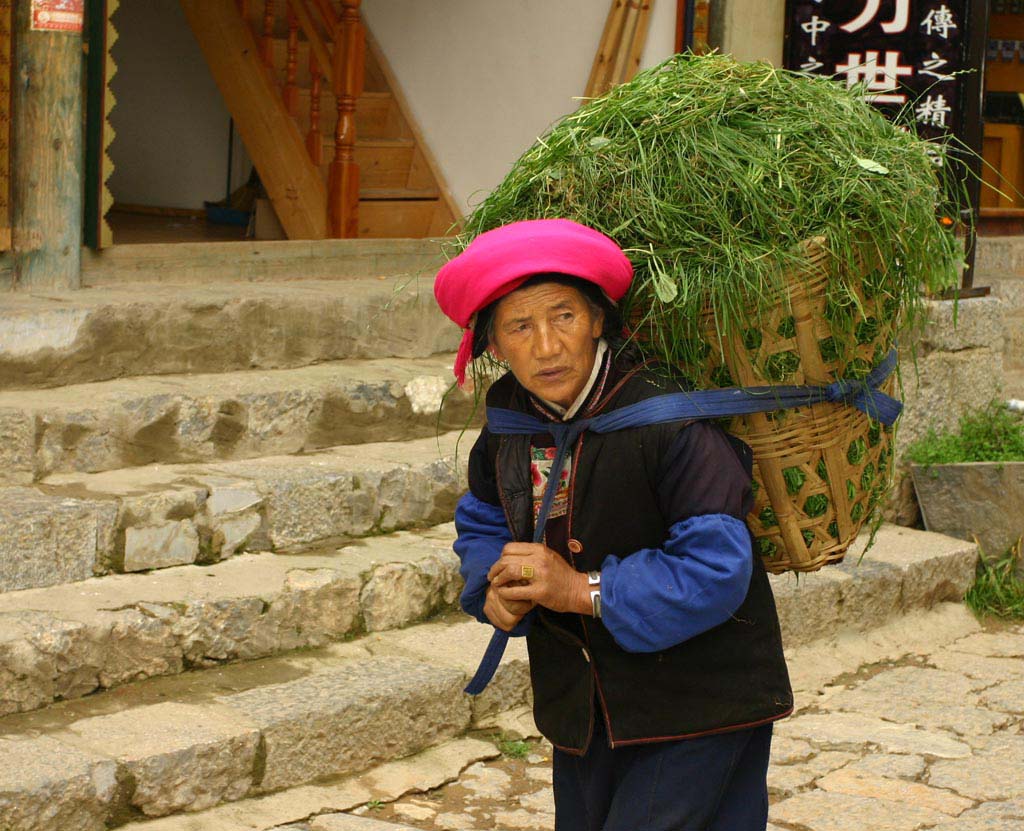 背草 摄影 保川