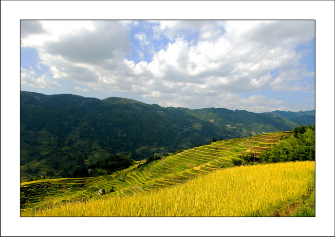 简单风景 摄影 ljzxyz