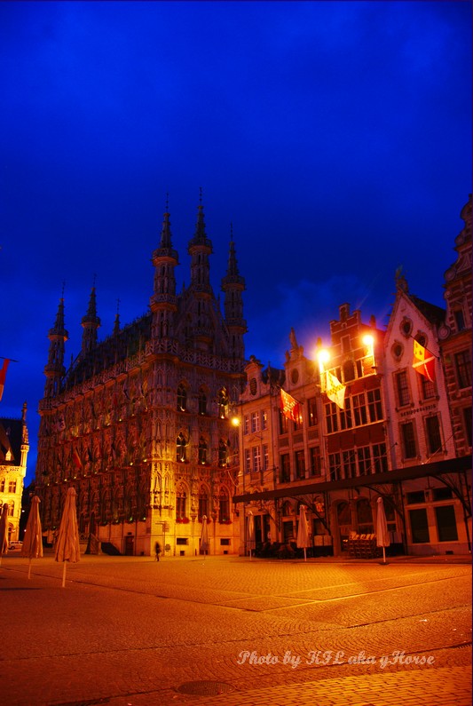 Leuven 市政厅 摄影 ghorse