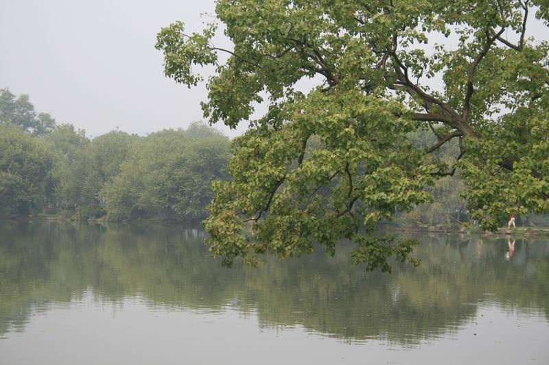 ＂西湖美景‧ 摄影 影呆