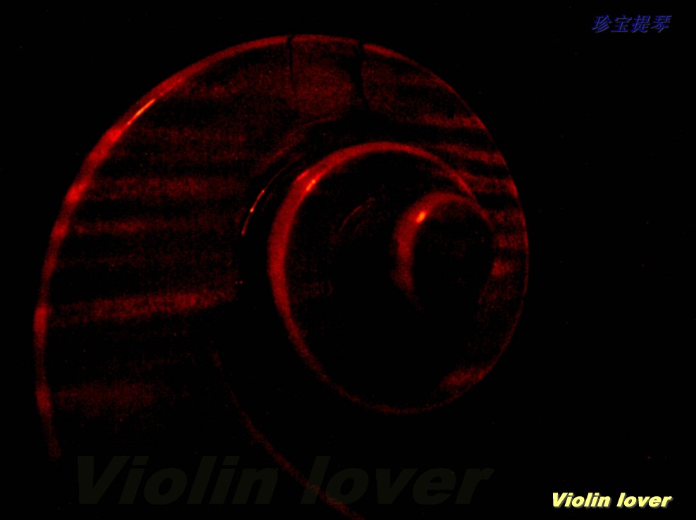 Violin lover 摄影 小提琴情人