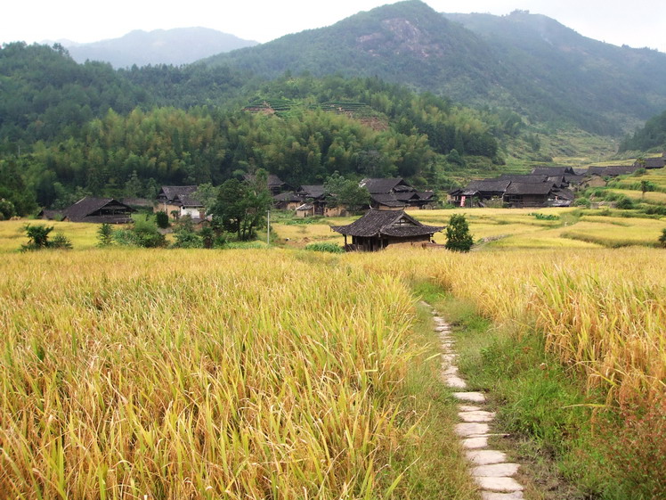 闽东林洋村 摄影 溪里峰